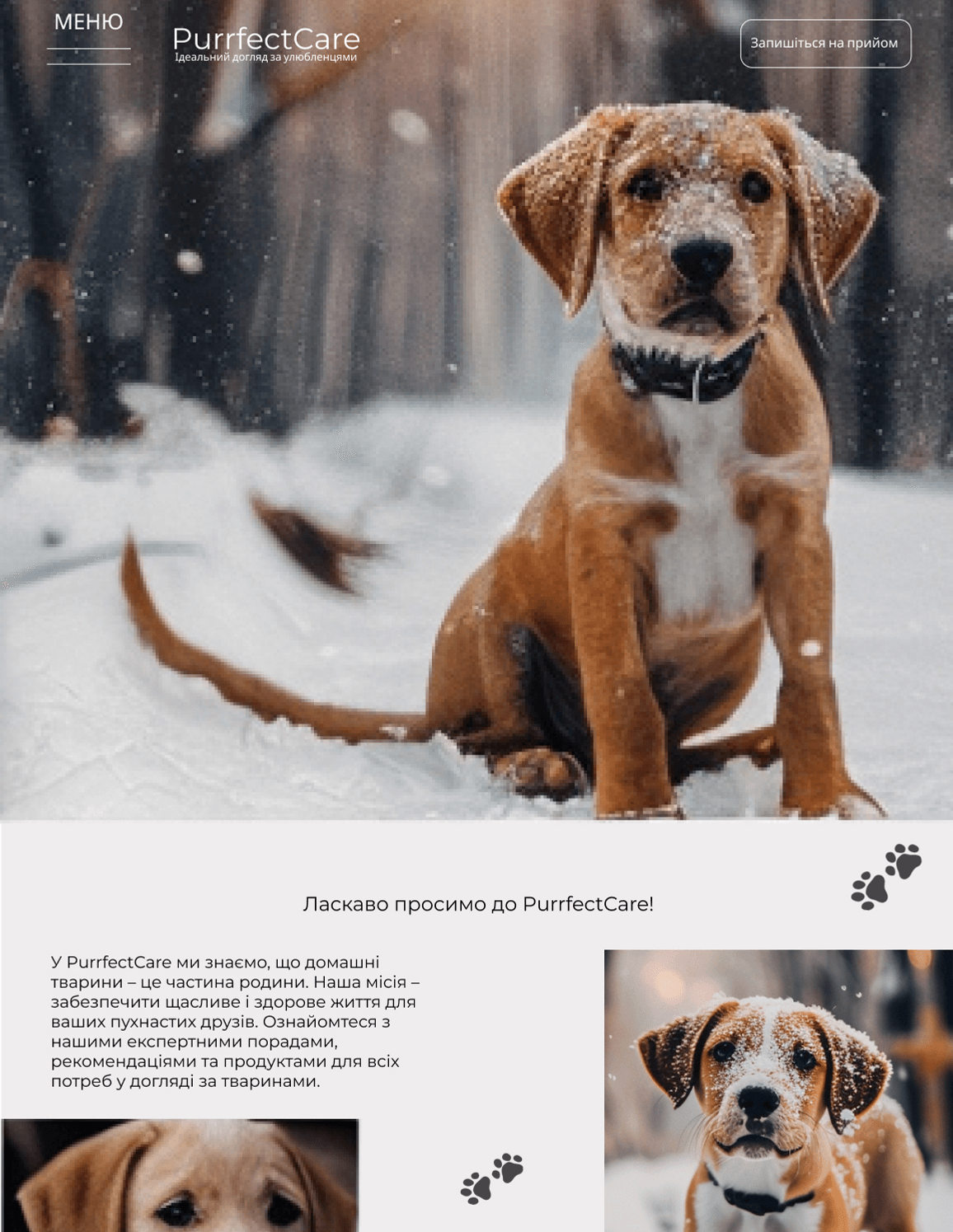 Дизайн сайта зоотоваров после