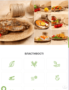 Our Completed Project 4