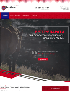 Our Completed Project 5