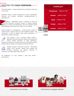 Our Completed Project 2